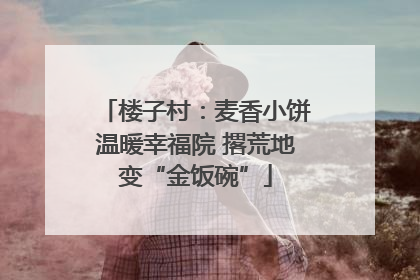 楼子村：麦香小饼温暖幸福院 撂荒地变“金饭碗”