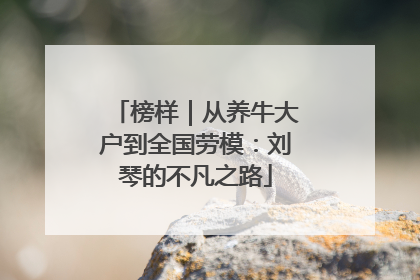 榜样｜从养牛大户到全国劳模：刘琴的不凡之路