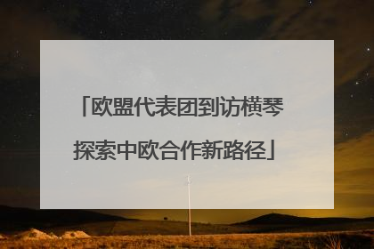 欧盟代表团到访横琴 探索中欧合作新路径