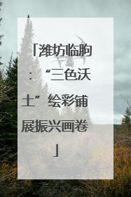 潍坊临朐：“三色沃土”绘彩铺展振兴画卷