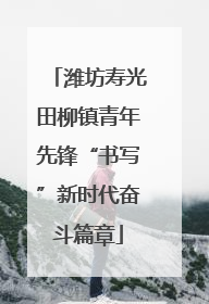 潍坊寿光田柳镇青年先锋“书写”新时代奋斗篇章