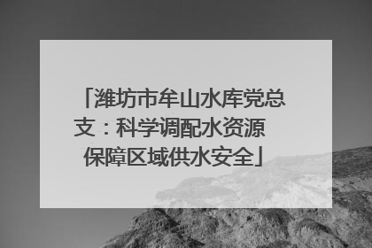 潍坊市牟山水库党总支：科学调配水资源 保障区域供水安全