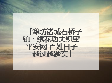 潍坊诸城石桥子镇：绣花功夫织密平安网 百姓日子越过越踏实