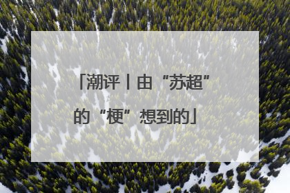 潮评丨由“苏超”的“梗”想到的