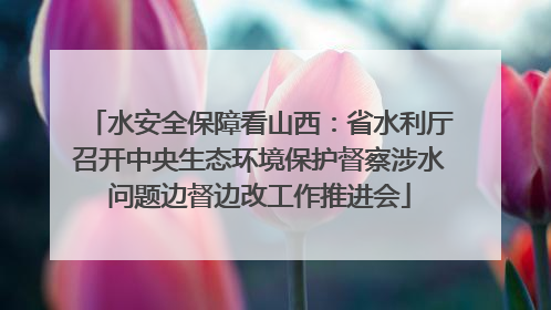 水安全保障看山西：省水利厅召开中央生态环境保护督察涉水问题边督边改工作推进会