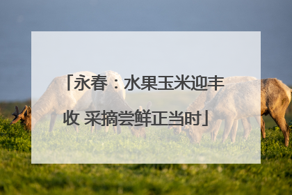永春：水果玉米迎丰收 采摘尝鲜正当时