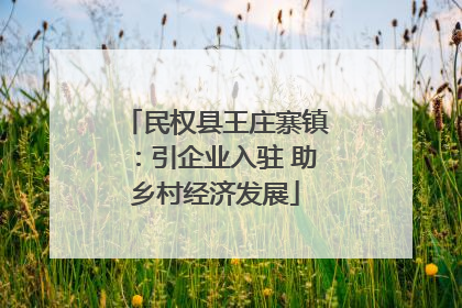 民权县王庄寨镇：引企业入驻 助乡村经济发展