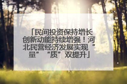 民间投资保持增长 创新动能持续增强！河北民营经济发展实现“量”“质”双提升