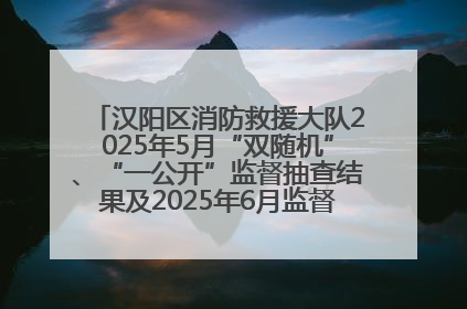 汉阳区消防救援大队2025年5月“双随机”、“一公开”监督抽查结果及2025年6月监督抽查任务公示