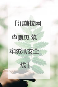 汛前拉网查隐患 筑牢防汛安全线