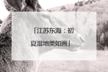 江苏东海：初夏湿地美如画