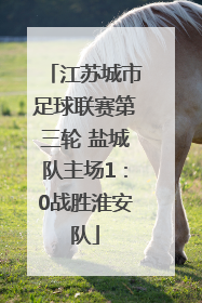 江苏城市足球联赛第三轮 盐城队主场1：0战胜淮安队
