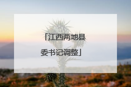 江西两地县委书记调整