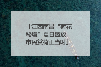 江西南昌“荷花秘境”夏日盛放 市民赏荷正当时