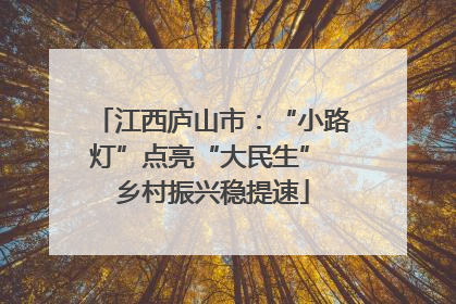 江西庐山市：“小路灯”点亮“大民生” 乡村振兴稳提速