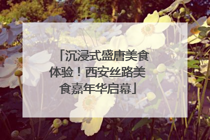 沉浸式盛唐美食体验！西安丝路美食嘉年华启幕
