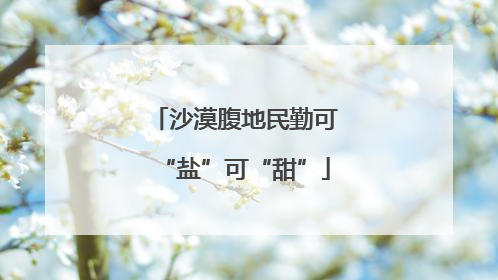 沙漠腹地民勤可“盐”可“甜”