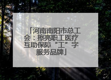 河南南阳市总工会：擦亮职工医疗互助保障“工”字服务品牌
