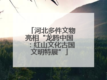 河北多件文物亮相“龙腾中国：红山文化古国文明特展”