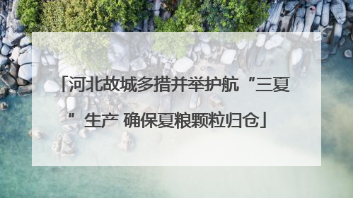 河北故城多措并举护航“三夏”生产 确保夏粮颗粒归仓