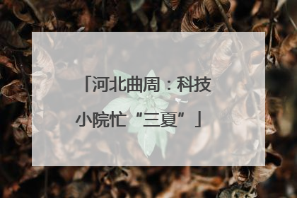 河北曲周：科技小院忙“三夏”