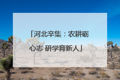 河北辛集：农耕砺心志 研学育新人