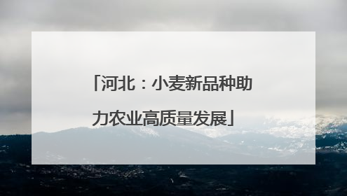 河北：小麦新品种助力农业高质量发展
