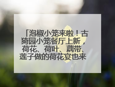 泡椒小笼来啦！古猗园小笼餐厅上新，荷花、荷叶、藕带、莲子做的荷花宴也来尝一下？