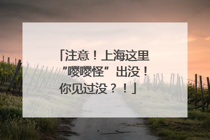 注意！上海这里“嘤嘤怪”出没！你见过没？！