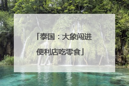 泰国：大象闯进便利店吃零食
