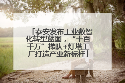 泰安发布工业数智化转型蓝图，“十百千万”梯队+灯塔工厂打造产业新标杆