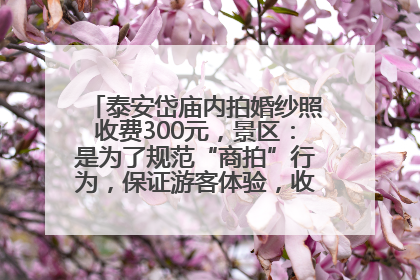 泰安岱庙内拍婚纱照收费300元，景区：是为了规范“商拍”行为，保证游客体验，收取费用全部上交国库