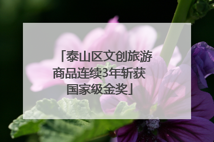 泰山区文创旅游商品连续3年斩获国家级金奖