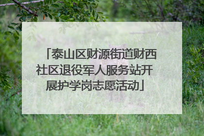 泰山区财源街道财西社区退役军人服务站开展护学岗志愿活动