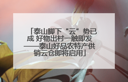 泰山脚下“云”势已成 好物出村一触即发——泰山好品农特产供销云仓即将启用
