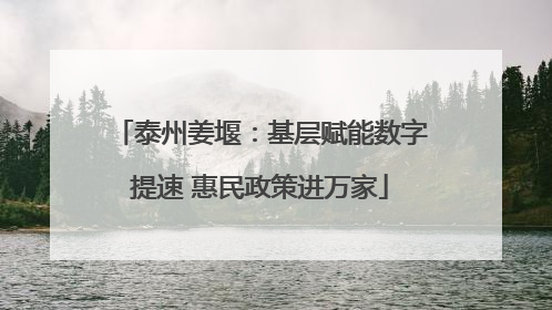 泰州姜堰：基层赋能数字提速 惠民政策进万家