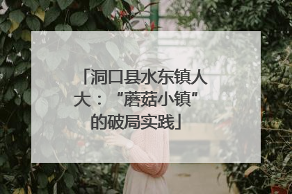 洞口县水东镇人大：“蘑菇小镇”的破局实践