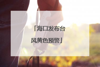 海口发布台风黄色预警