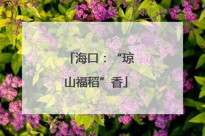 海口：“琼山福稻”香
