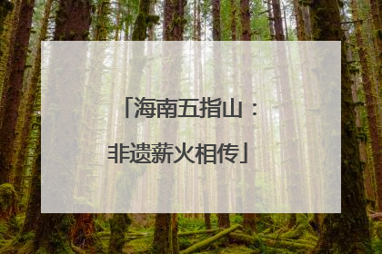海南五指山：非遗薪火相传