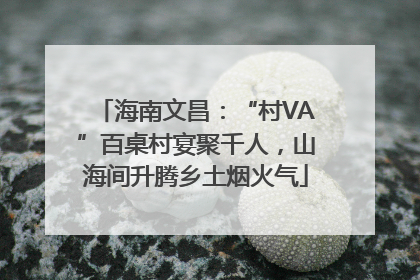 海南文昌：“村VA”百桌村宴聚千人，山海间升腾乡土烟火气