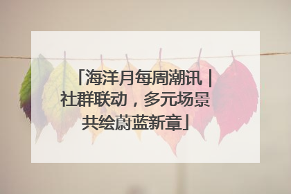 海洋月每周潮讯｜社群联动，多元场景共绘蔚蓝新章