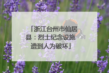 浙江台州市仙居县：烈士纪念设施遭到人为破坏