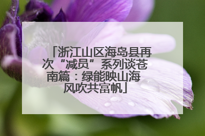浙江山区海岛县再次“减员”系列谈苍南篇：绿能映山海 风吹共富帆