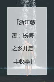 浙江慈溪：杨梅之乡开启丰收季