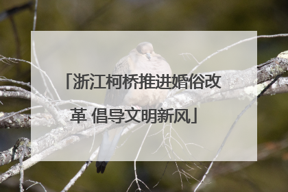 浙江柯桥推进婚俗改革 倡导文明新风