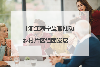 浙江海宁盐官推动乡村片区组团发展
