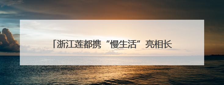 浙江莲都携“慢生活”亮相长沙 双城共绘文旅合作新图景