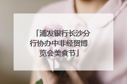 浦发银行长沙分行协办中非经贸博览会美食节