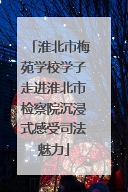 淮北市梅苑学校学子走进淮北市检察院沉浸式感受司法魅力